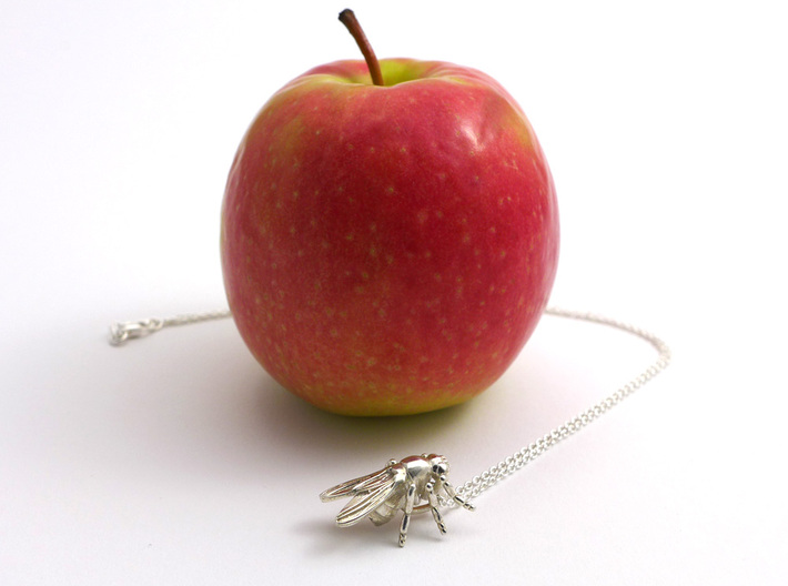 Drosophila Fruit Fly Pendant - Science Jewelry 3d printed Drosophila pendant in polished silver