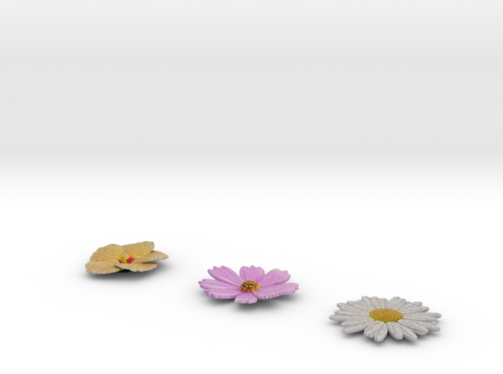 The 3 Flowers 3d printed 