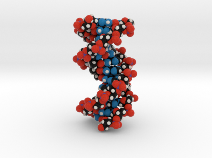 DNA double helix (unmodified) 3d printed