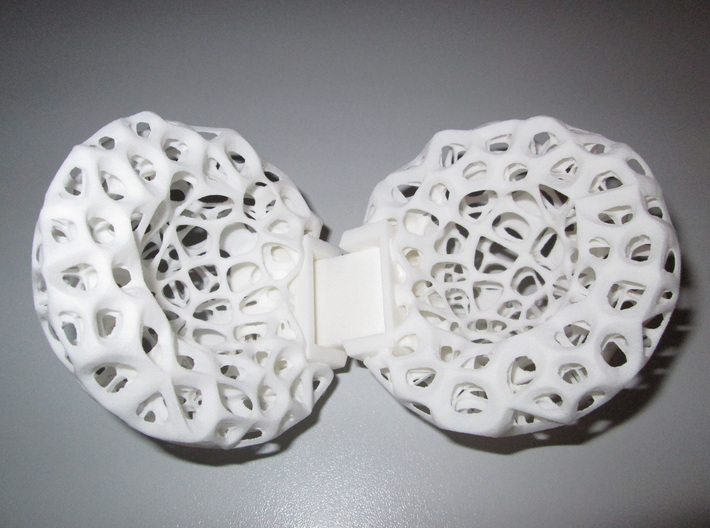 Voronoi Skeleton Case 3d printed Fully Opened - Photograph