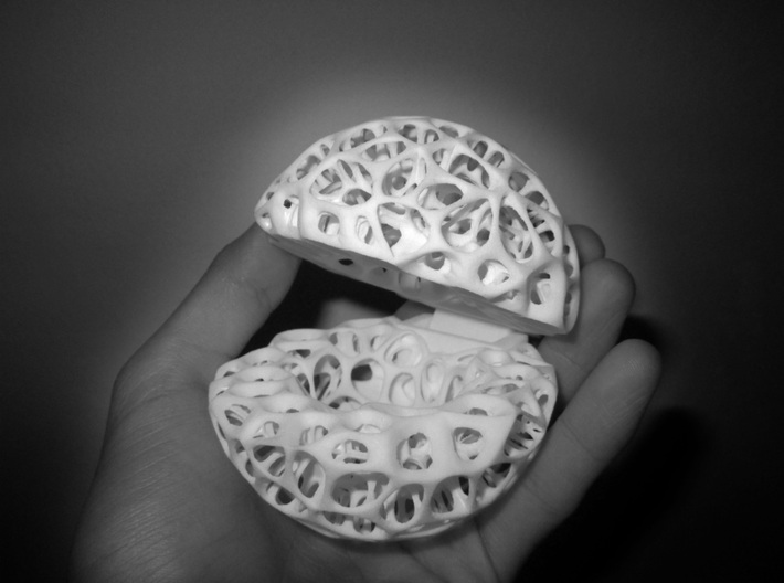 Voronoi Skeleton Case 3d printed Crack Opened + Size Comparison - Photograph