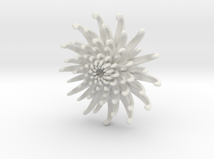 Yarn chrysanthemum-S Ito-kiku-S 3d printed