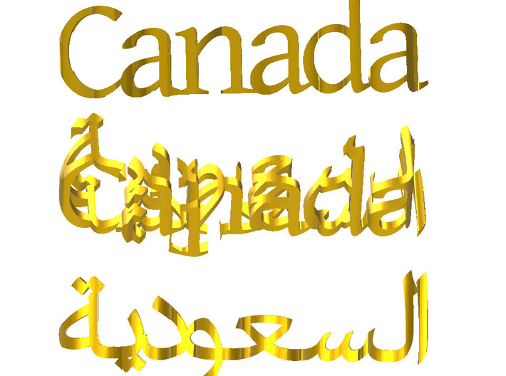 Canada Saudi 3,5 Inch 4 3d printed 