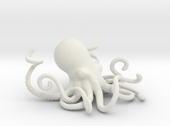 Octopus Pen Organizer 3d printed 