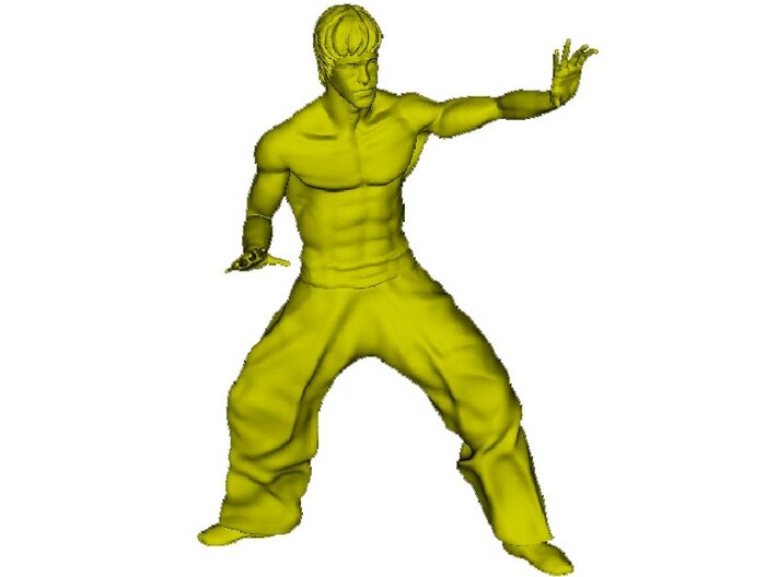 1/15 scale Bruce Lee fighting figure 3d printed