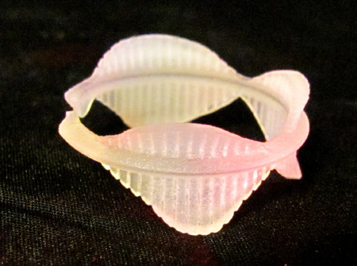 Flying Rod 6, Ring Size 12 3d printed 