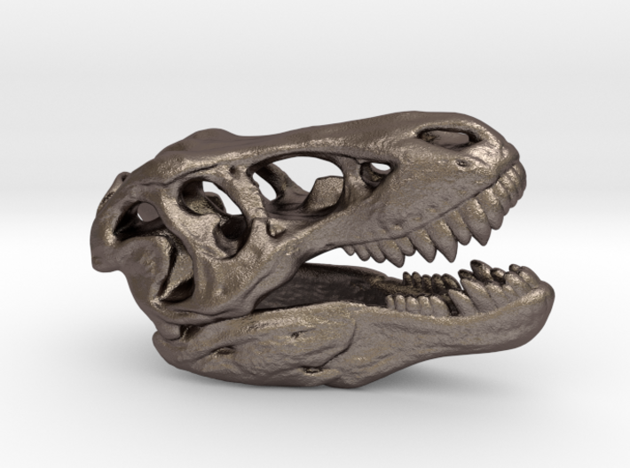 Tyrannosaurus Rex Skull 35mm 3d printed