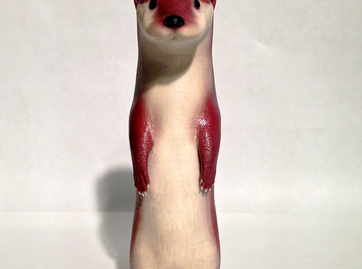 Otter 3d printed Front view