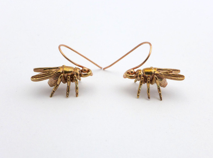 Drosophila Fruit Fly Earrings - Science Jewelry 3d printed Drosophila earrings in raw bronze