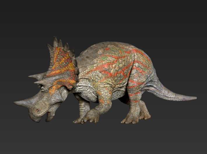 Regaliceratops (Small/Medium/Large size) 3d printed 