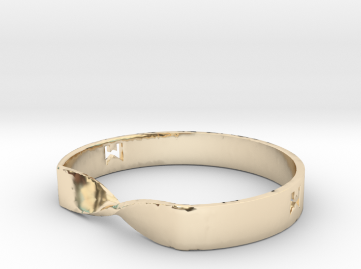 MILOSAURUS Jewelry Mobius Strip Pendant 3d printed