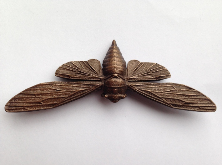 Bronze-polished Steel Cicada 3d printed Polished Bronze Steel Cicada