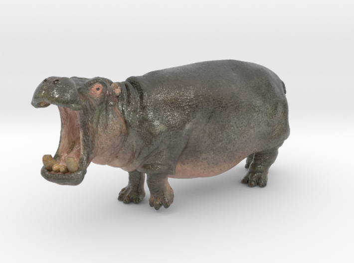 Hippo mini size (color) 3d printed 