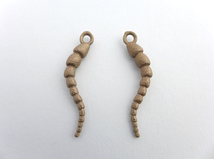 Leptohalysis Benthic Foraminiferan Earrings 3d printed Leptohalysis earrings in stainless steel