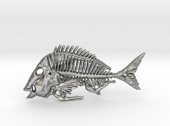 Littlehead Porgy Fish Skeleton Pendant 3d printed 