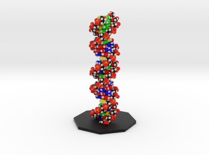 DNA Molecule Model Upright 3d printed