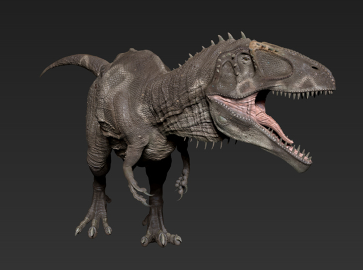 Giganotosaurus (Medium / Large size) 3d printed 
