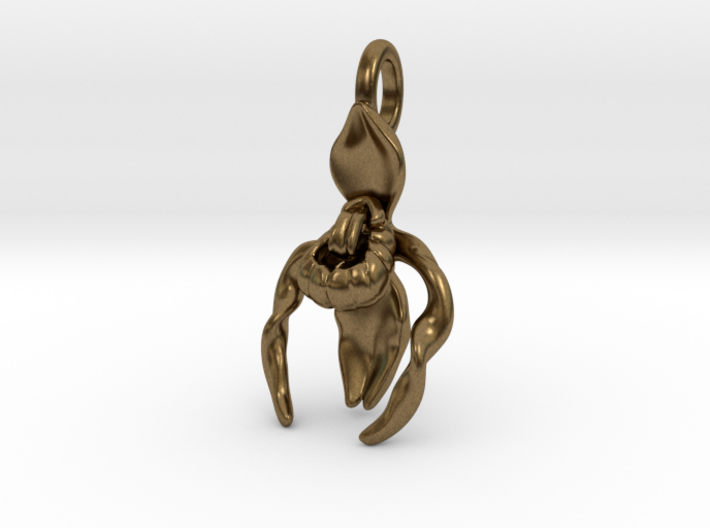Lady's Slipper Orchid Pendant - Nature Jewelry 3d printed