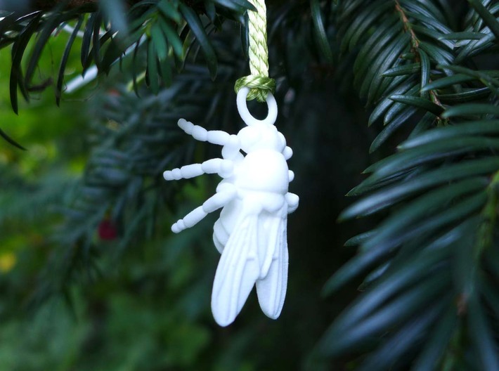 Drosophila Ornament - Science Gift 3d printed Drosophila Ornament in white nylon plastic