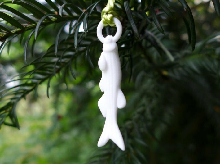 Zebrafish Ornament - Science Gift 3d printed Zebrafish Ornament in white nylon plastic