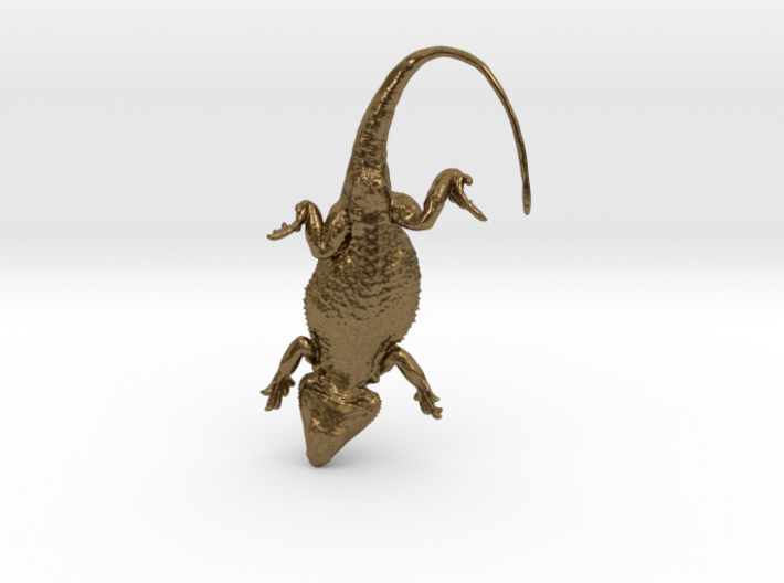 Bearded Dragon for silver - 35mm 3d printed