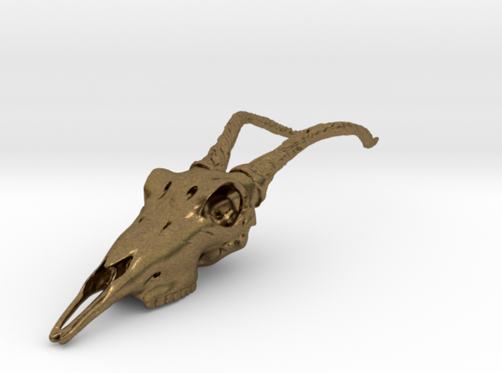 Antelope Skull 3d printed
