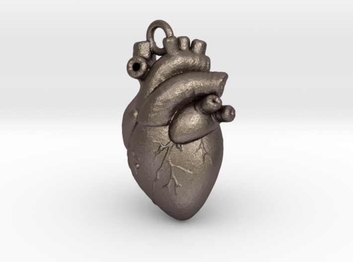 Anatomical human heart 3d printed