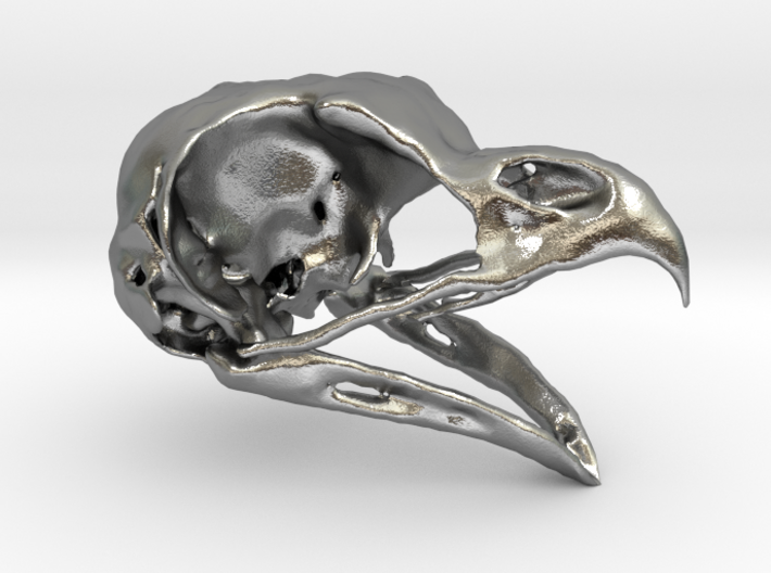 Great Horned Owl Skull 3d printed