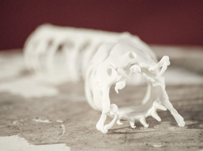 Mongolian Death Worm 3d printed 