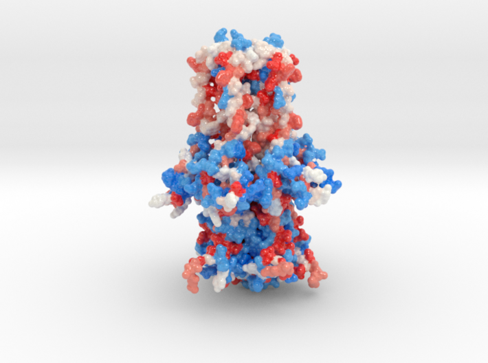 Mitochondrial Calcium Uniporter PDB ID: 5ID3 3d printed