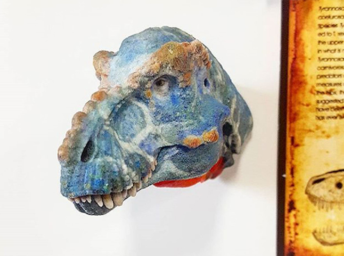 T-rex Head (Small/Medium-color size) 3d printed