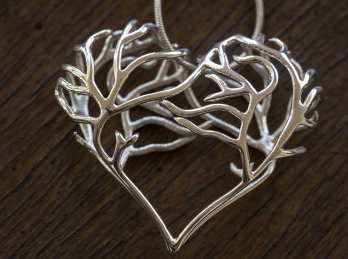 Complicated Passion 3d printed Polished Silver