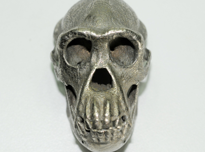 Chimpanzee skull - 77 mm 3d printed Stainless steel print
