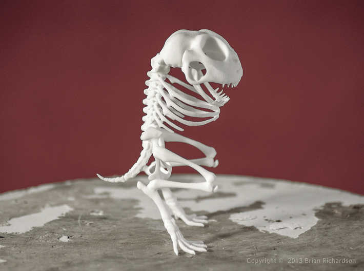 Canvey Island Monster Skeleton 3d printed WSF