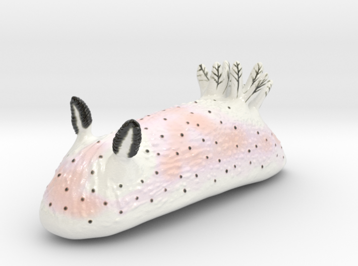 Jorunna parva Nudibranch - "Sea Bunny" color 3d printed 