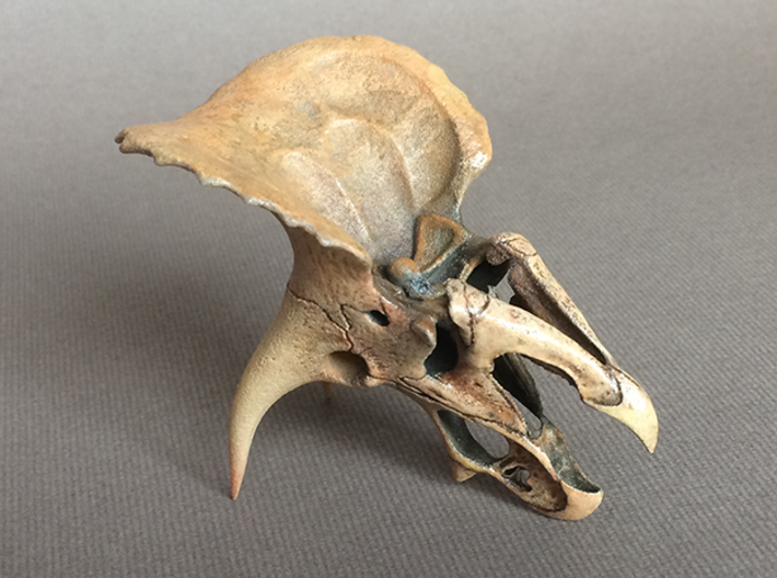 Triceratops skull - dinosaur model 3d printed Fully detailed
