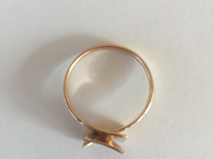 Nobel Ring 3d printed Nobel Ring Rose Gold- Top View