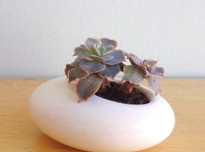 Oval succulent planter 3d printed