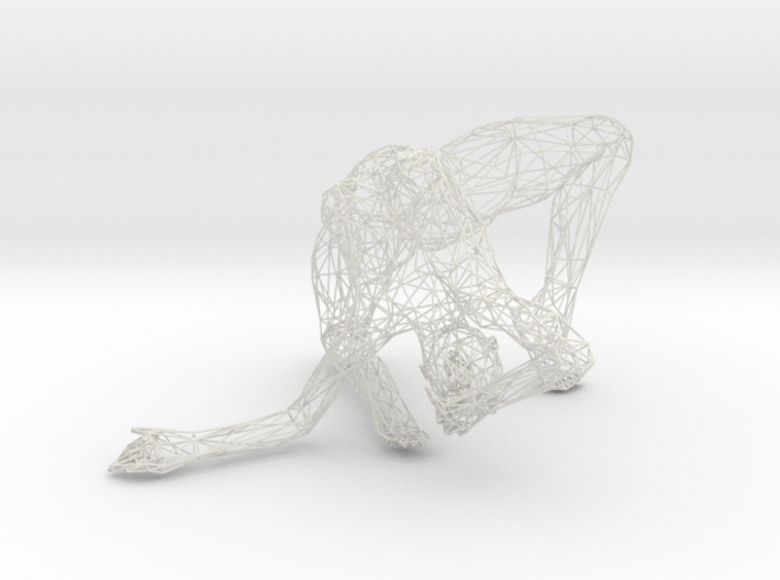 Wireframe Woman 30cm 001 3d printed 