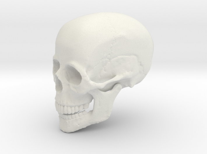 Non-scale Hollow Human Skull 3d printed