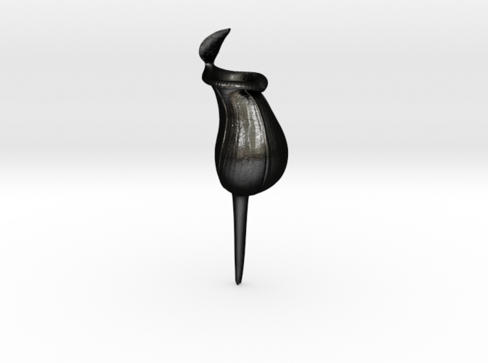 Pitcher Plant Watering Spike 3d printed