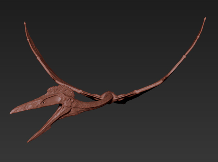 Quetzalcoatlus Flying (Small/Medium/Large size) 3d printed 