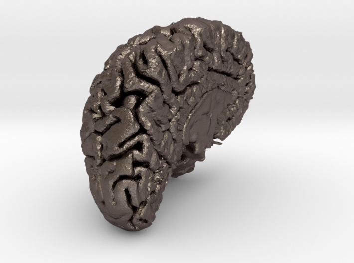 The left hemisphere of the brain - full scale 3d printed