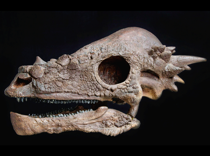 Stygimoloch Dinosaur Skull Pendant 3d printed 