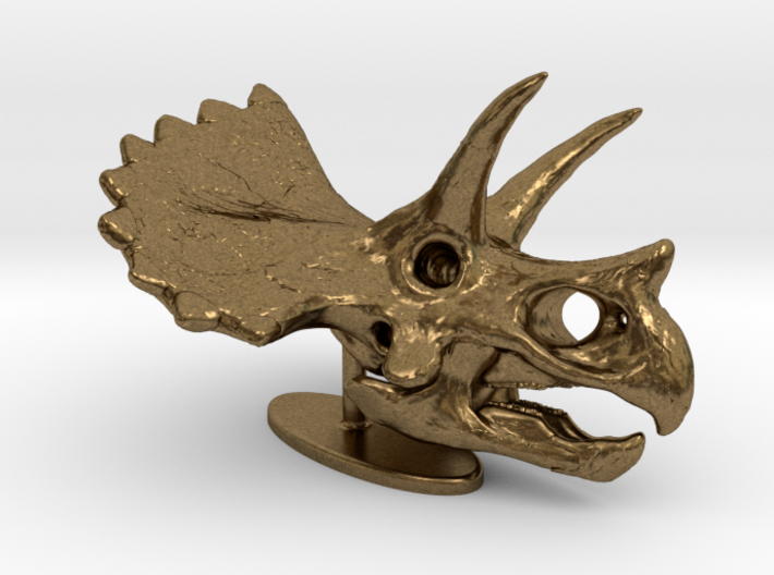 Triceratops Skull 3d printed