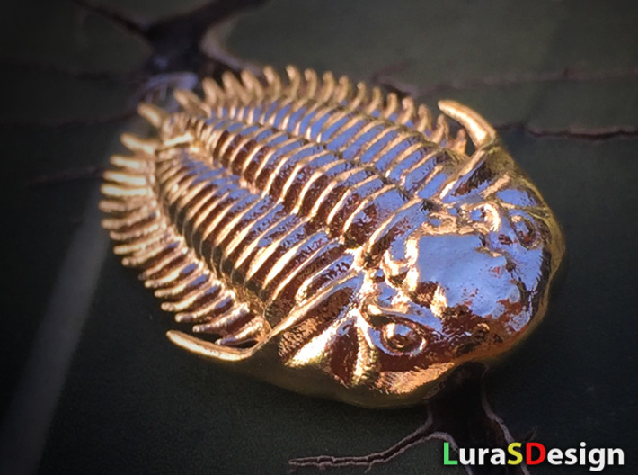 Trilobite Pendant 3d printed Raw Brass