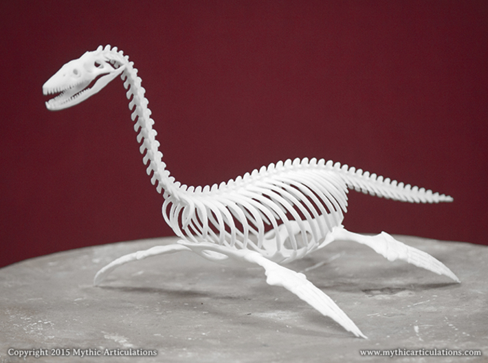Loch Ness Monster Skeleton 3d printed