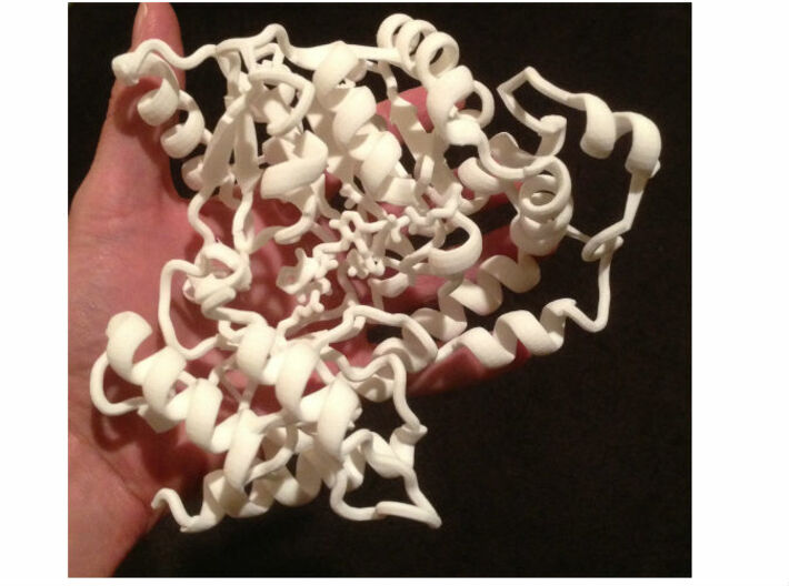 Tomato ACC Synthase (pdb id: 1IAX) 3d printed Note the Pyridoxal Phosphate cofactor in the middle 