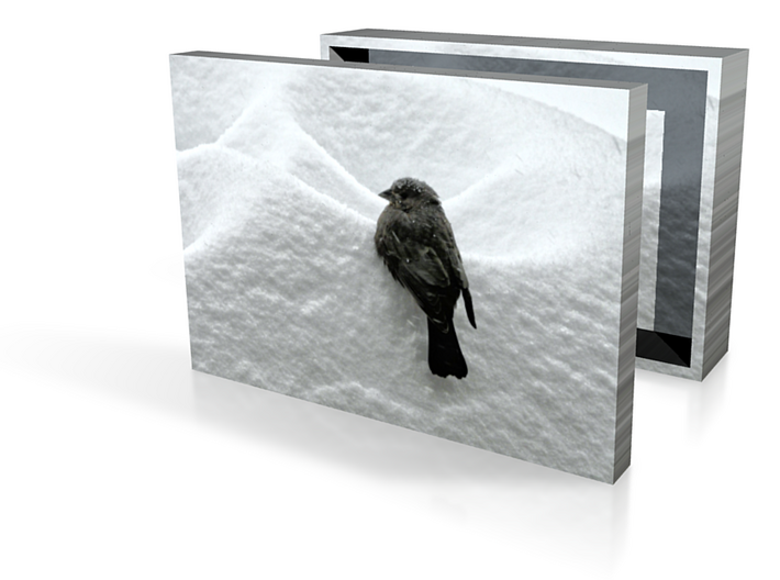 Bird in Snowdrift Box 3in 3d printed