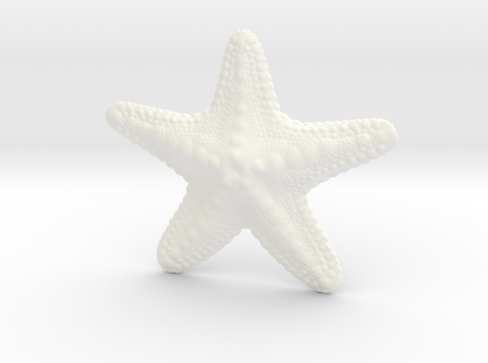 Starfish paperweight 3d printed